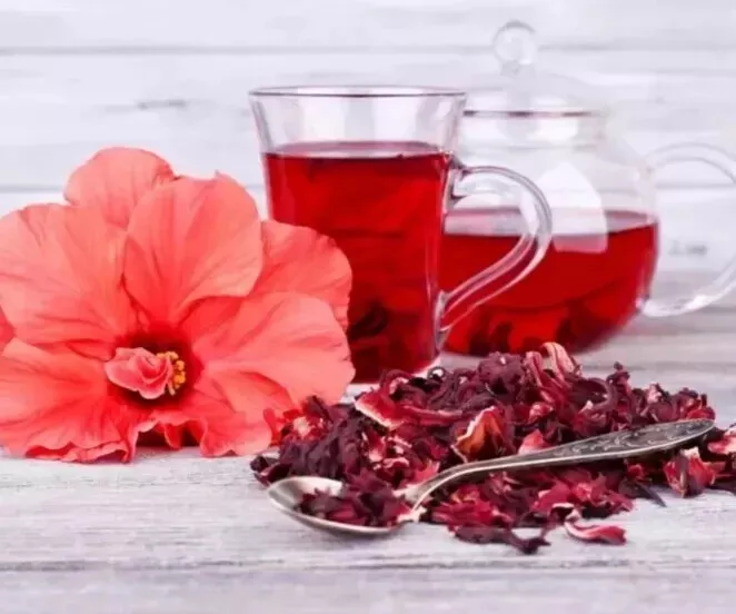 Hibiscus Flower - Image 2
